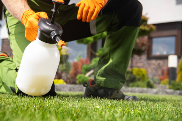 Best Pest Control Near Me  in Bonita, CA