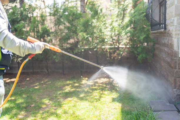 Best Best Pest Control Companies  in Bonita, CA